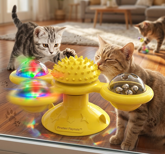 Cat Entertainment Set- Interactive Rotating Disk, Feather Teasers, Tumbler, Windmill Toy - Keeps Cats Active & Engaged